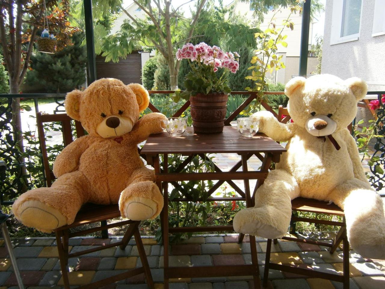 Guest House Butterfly Wing Odessa Luaran gambar
