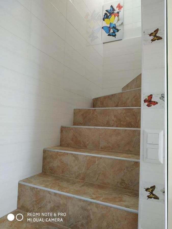 Guest House Butterfly Wing Odessa Luaran gambar